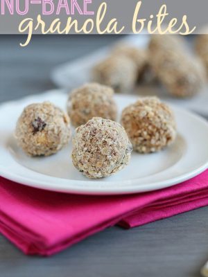 Granola Bites