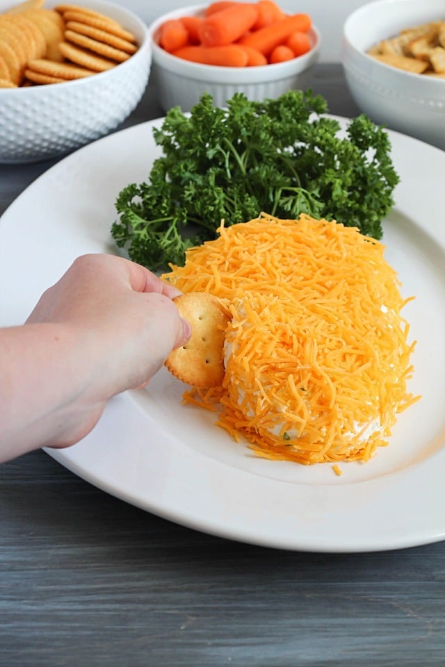 Need a fun treat to bring to an Easter party? Take this carrot-shaped cheese ball! It's sure to win the vote for cutest and tastiest snack! Need a fun treat to bring to an Easter party? Take this carrot-shaped cheese ball! It's sure to win the vote for cutest and tastiest snack!