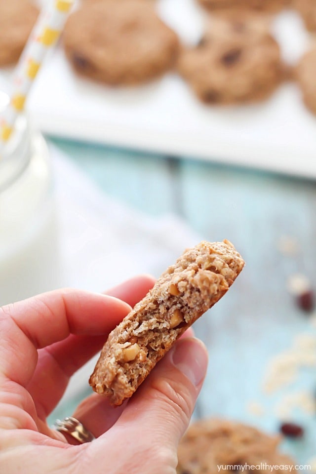 Healthy Banana Oatmeal Breakfast Cookies - SO easy to make, have no butter or oil, and have only 165 calories in each cookie + 6g of protein!