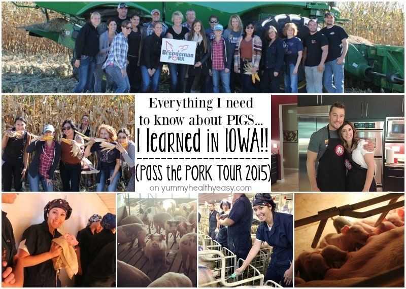 Pass the Pork Tour 2015 on yummyhealthyeasy.com