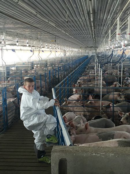 Checking out the Pig Stalls at Brenneman Farm!