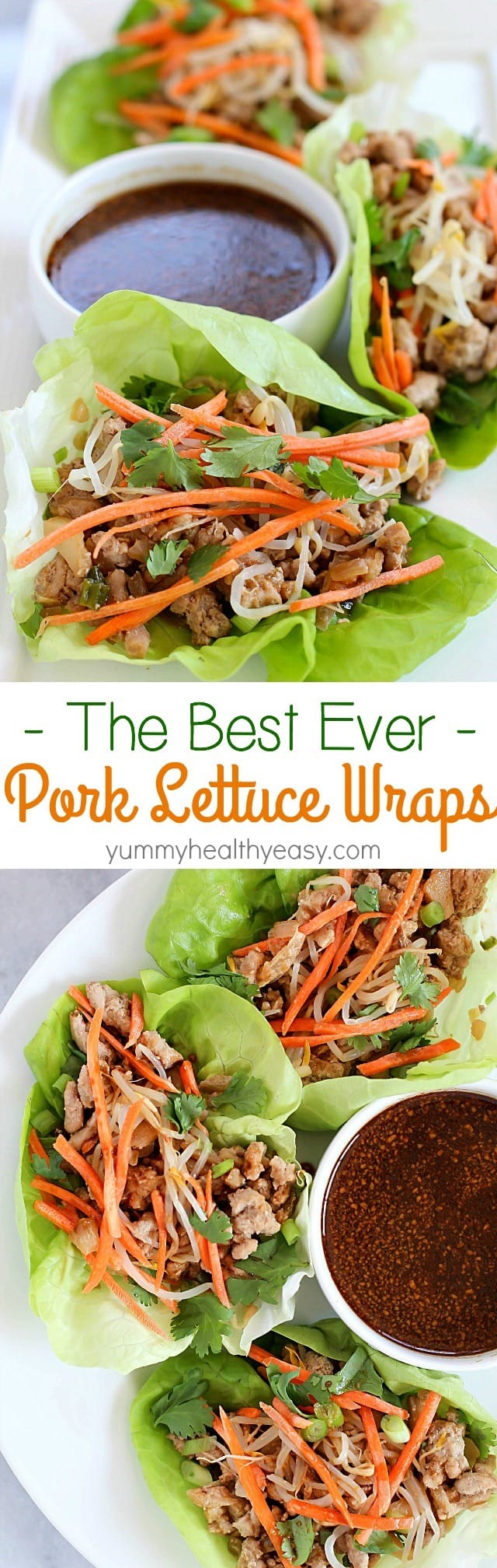 You will LOVE these amazing Pork Lettuce Wraps! Full of flavor, low on carbs and easy to make. Perfect for an appetizer for a group or as a dinner for your family.