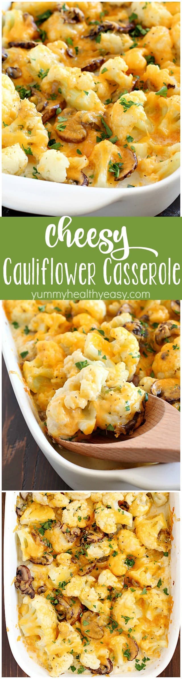 Cheesy Cauliflower Casserole makes the most delicious side dish or meatless main dish! Full of flavor with cauliflower, sautéed mushrooms & leeks, and an easy cheesy sauce that won't pack on the calories. This is incredible! AD