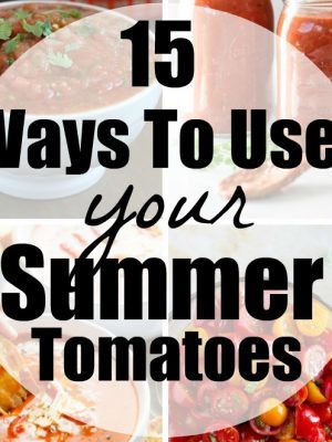 15 tomato recipes to use those summer tomatoes!! Scrumptious ways that you can enjoy your garden fresh tomatoes all summer long!