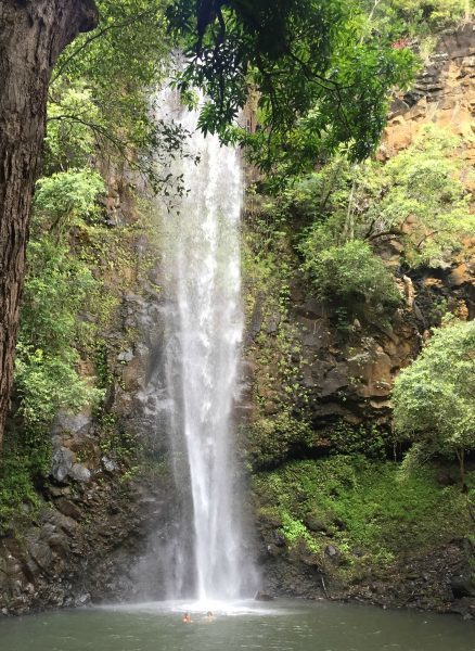 Rainbow Kayak Tours down the Wailua River & hiking to Secret Falls Waterfall! (the Ultimate Kauai Travel Guide - What to do in Kauai) AD