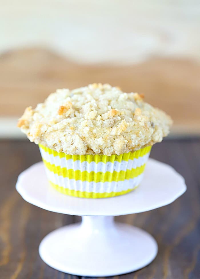 One muffin resting on a cute cupcake stand.